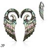 Pair Of Organic Abalone Angel Wing Spiral Taper
