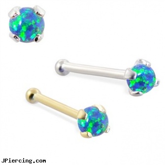 14K Gold Nose Bone with 2mm Round Blue Green Opal, gold belly button jewelry to buy, india nose pin nose stud nose ring gold diamond retail, gold belly jewelry, nose ring packages, does nose piercing leave scar