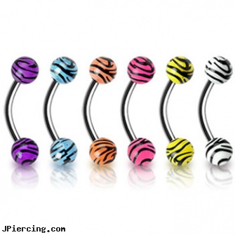Curved barbell (eyebrow ring) with tiger print balls, curved barbell jewelry, curved slave barbell, curved tapers stretching, colored nipple barbells, sizes of tongue barbells