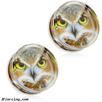 Pair Of Owl Print Encased Clear Acrylic Saddle Fit Plugs, torn penis piercing repair, clearance body jewelry, clear toung rings, clear belly button ring, body jewelry acrylic