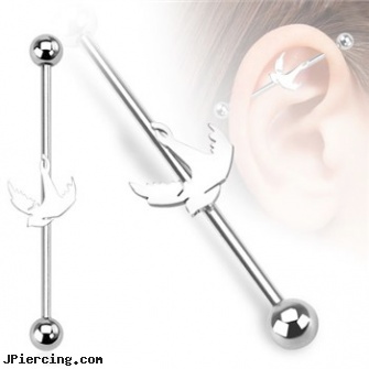 Surgical Steel Bird Industrial Barbell, surgical stainless steel body jewelry, surgical steel jewelry, surgical placement of rings in cock and scrotum, stainless steel belly rings, stainless steel rings