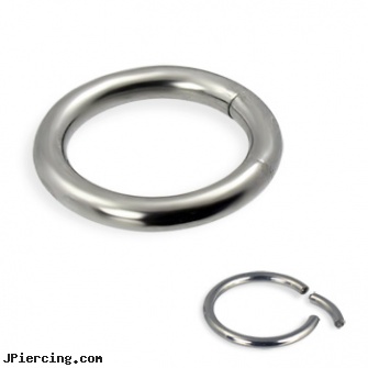 Titanium segment ring, 10 ga, titanium jewelry, titanium ear jewelry, 18 guage titanium labret, captive segment cock rings, nose ring danger