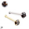 14K Gold Nose Bone with Brown Diamond, 22 Ga