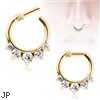 Gold Tone Gemmed Princess Septum Clicker