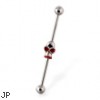 Industrial straight barbell with skull, 14 ga