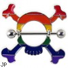 Large rainbow skull nipple shield