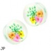 Pair Of Green Dried Flower Clear Acrylic Saddle Fit Plugs