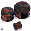 Pair Of Organic Areng Zebrawood Saddle Plugs