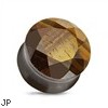 Pair Of Organic Multi-Faceted Tiger Eye Plugs