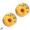 Pair Of Sunflower Print Encased Clear Acrylic Saddle Fit Plugs