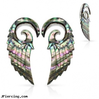 Pair Of Organic Abalone Angel Wing Spiral Taper, torn penis piercing repair, organic nipple jewelry, organic body jewelry, organic body jewelery, belly button piercing los angeles