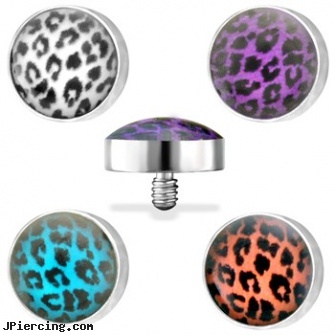 Surgical Steel Internally Threaded Leopard Print Inlayed Dome Dermal Top, surgical steel prong set labrets, surgical steel nose rings, surgical steel belly rings, double steel cock rings, 12 gauge steel ear plugs