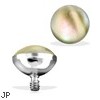 Surgical Steel Internally Threaded Shell Inlayed Dome Dermal Top